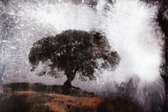 Tree Emanations III, 2020-CA