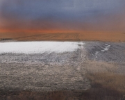 Landscape with Flooded Field I, 1995