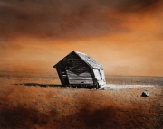 Prairie Dwelling VIII, 1996