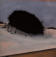 Black Bush in Desert, 1997