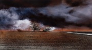 Prairie Farm IV, 1997