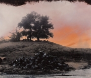Tree with Rockpile in Fog, 1998