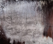 Trees in Flooded Lake, 2012